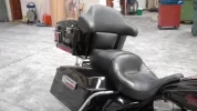 Harley 04.webp