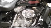 Harley 05.webp