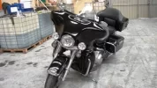 Harley 06.webp