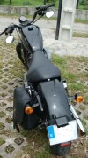 DSC01354.webp