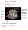 carb S&S.jpg