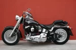 fatboy.webp