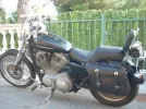 alf nuevas + pequeñas.webp