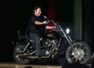 bruce1.webp