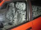 hortero9jo.webp