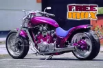 FREE%20MAX%20D.webp