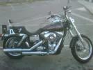 Harley peq.webp