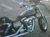 Harley peq 2.jpg Harley peq 2.jpg