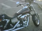 Harley peq 2.webp