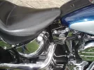 DSC03139rr.webp