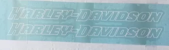 Emblema depósito XL883N 2010.jpeg