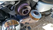 IMG_20200501_172831_748.jpg