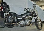 Harley.webp