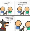 Perro1.webp