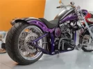 softail slim2.webp