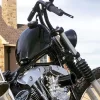 sportster2.webp