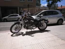 harley.webp