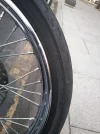 delantera.webp