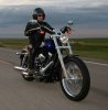 123723@Harley-Davidson-FXDL.jpg