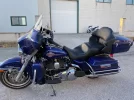 harley 2.webp