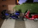 harley 3.webp