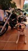 20200915_234815.webp