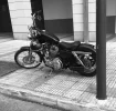 0C4574EB-4B1D-4AA9-AA8F-9A5C3DF4A838.jpeg