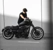 Sportster.webp