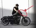 Sportster_LI.webp