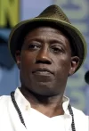 11-13-45-1200px-Wesley_Snipes_(41969097750)_(cropped).webp