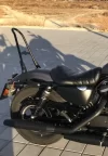Sissy bar.webp