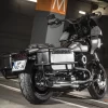 fatbobworld_20201118_074534.webp