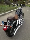 Harley1.webp