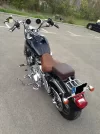 Harley2.webp