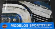 Screenshot_2021-02-06 manual de usuario 2020 harley davidson - Búsqueda de Google.webp