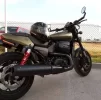 Harley.webp