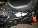 IMG-20210327-WA0001.webp