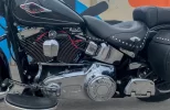 FLSTC Manu-2.webp
