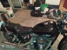 TC88 (9).webp