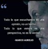 FB_IMG_1628692886066.jpg