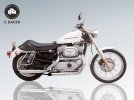 SPORTSTER.jpg
