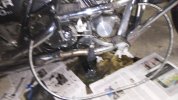 IMG_20211009_095550_350.jpg