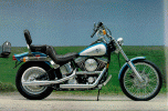 fxstc.gif