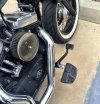 IMG_20211118_060735.jpg