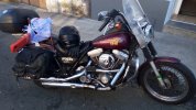 IMG_20211019_103832_501.jpg
