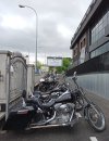 IMG_20220121_130146.jpg