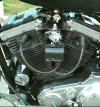 IMG_20220121_141405.jpg