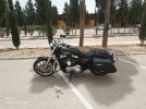 9_POLICECUEROSINPARB (2).jpg