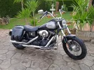 mi moto solo.webp