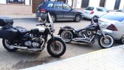 IMG_20220413_171653.jpg